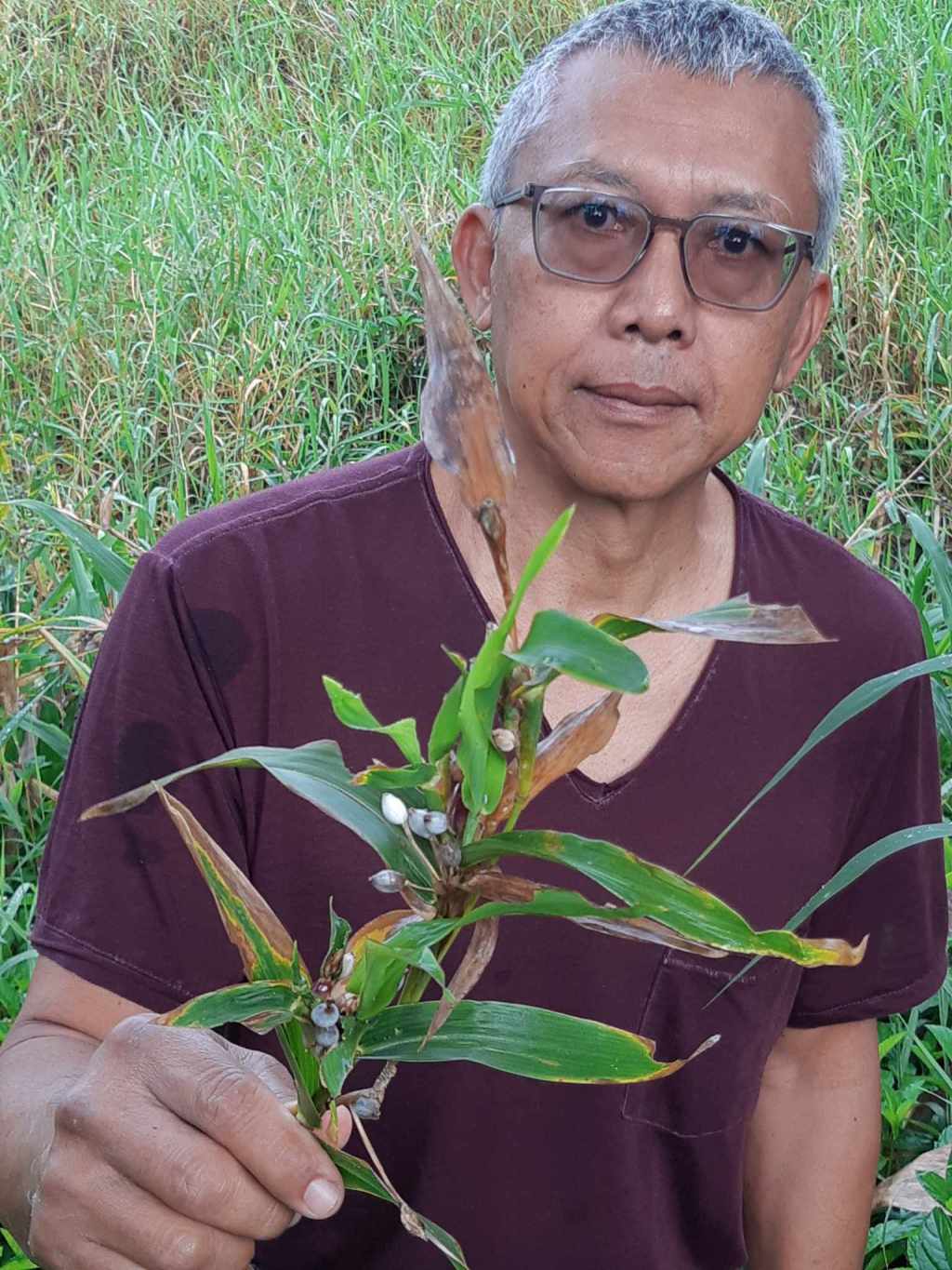 Les Larmes de Job : un bijou à déguster&nbsp;!