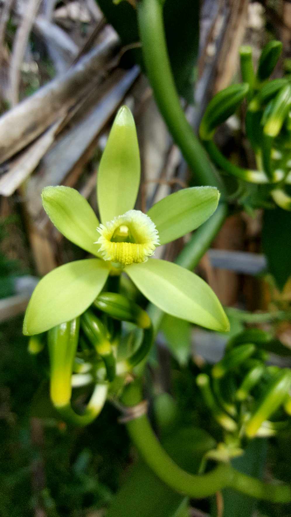 La photo de&nbsp;Frédo